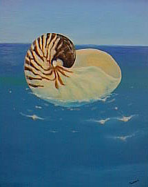 on the sea
